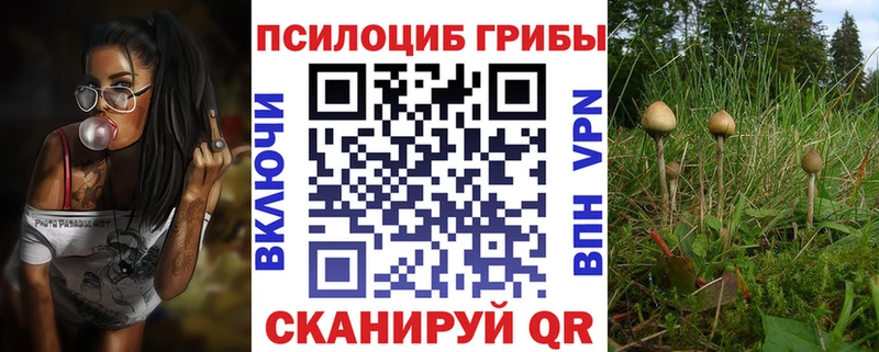 Галлюциногенные грибы мицелий  наркошоп  Советский 
